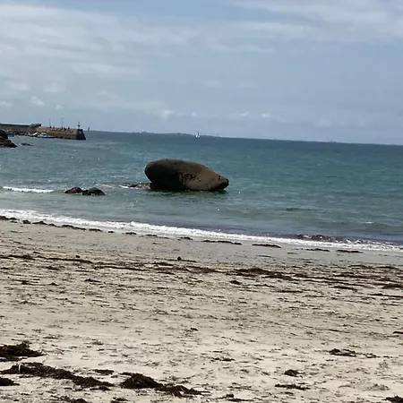 Sleepinconcarneau - Centre Piétonnier - 200 M De La Appartement *